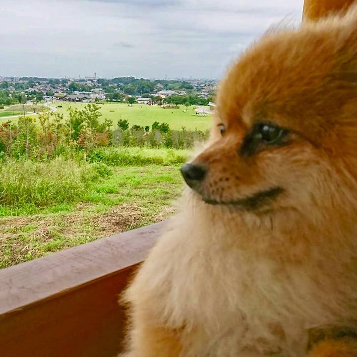 A3906d54 7deb 4d7e ac6c f522943821bb