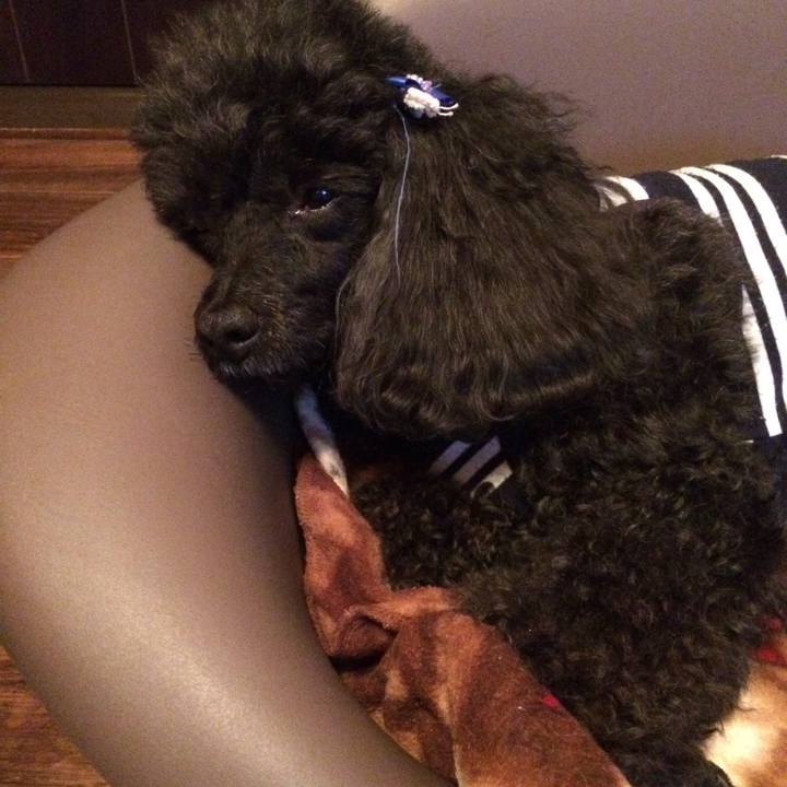 A390a42c 6efc 431b afa9 c5f95bcb1e01