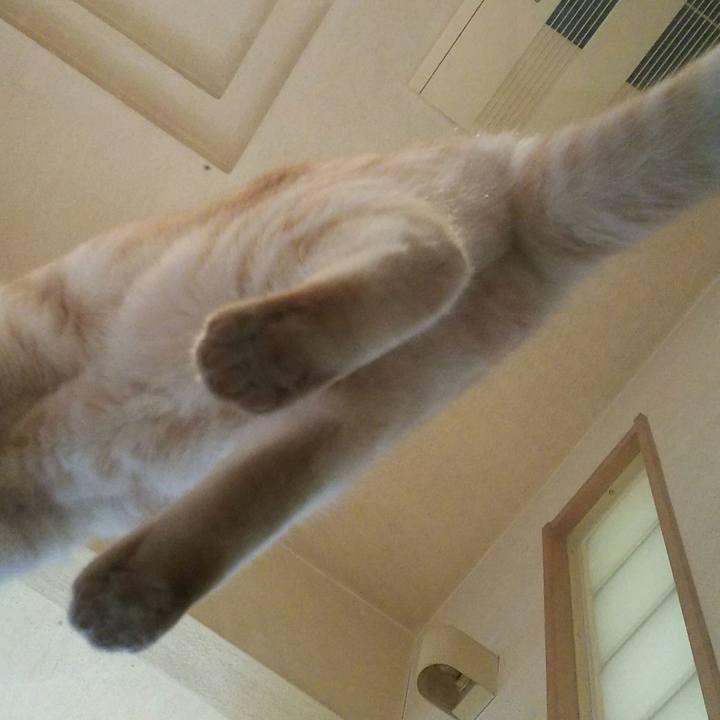 A390d03f cdb9 427e 9fd2 d8f0c7ffe0b7