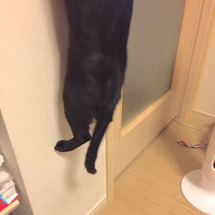 A39187d4 19b6 4b9f bc3b 9b85895e5f0a