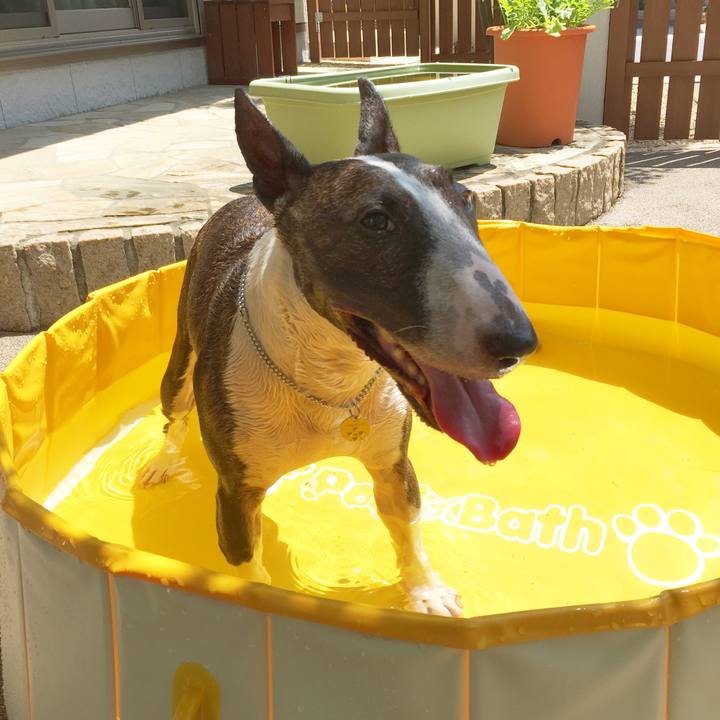 A391ade0 c6d1 47eb 9b81 b89295890b5c