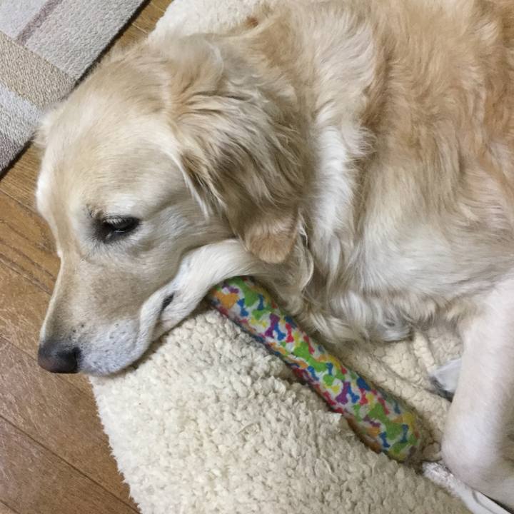 A391be6d 1ae0 43f9 82fd baed9a42b99a