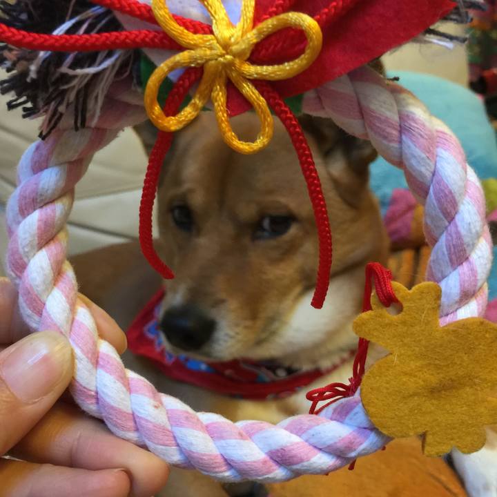 A3928afc eb4b 42e1 a13a 7e67551ef088