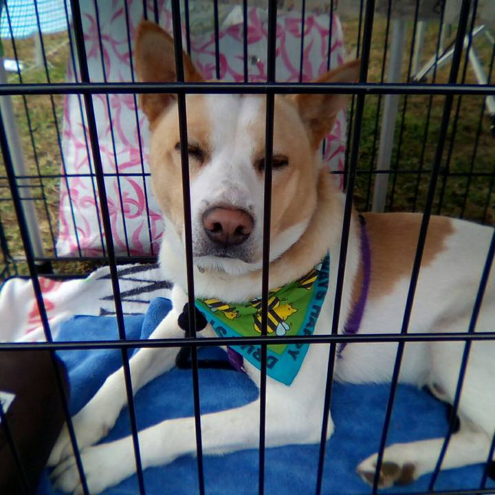 A3932b48 b1ea 43b4 99b0 e3db441ed824