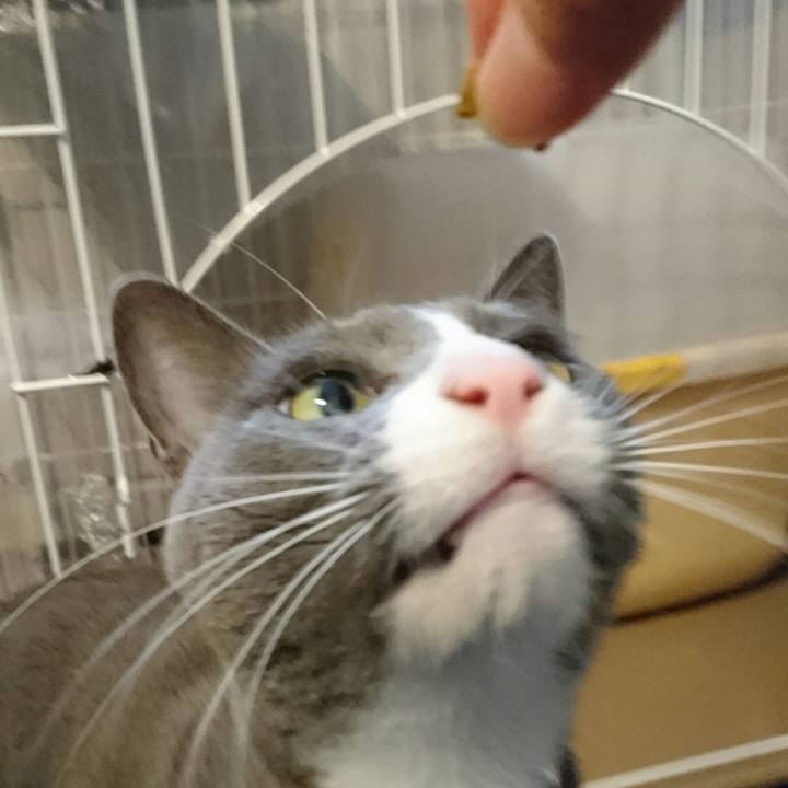 A3932d5a 696d 4439 bf1c e4160763fce1