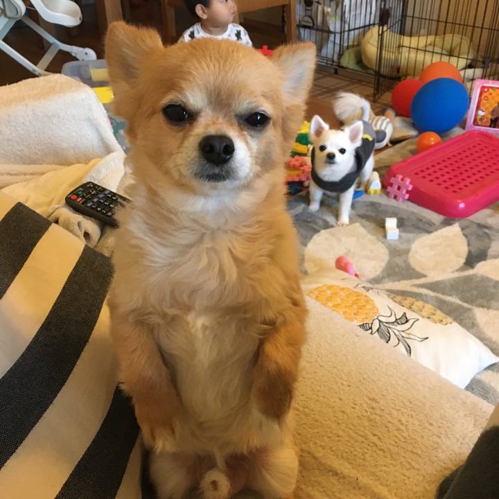 A3932d8b cea6 4deb ba7f ce25e4d9e966