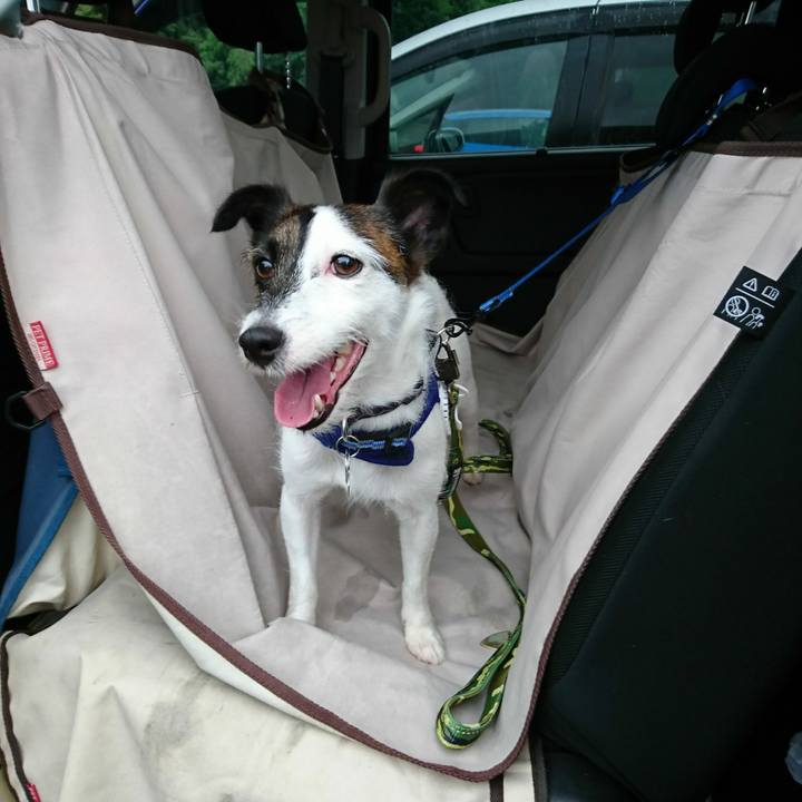 A393a97b 71aa 4866 b358 edb52d6d930b