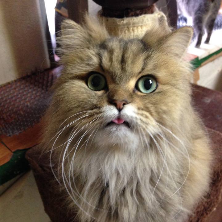 A3945353 1ae6 4f27 8f1c 36ad7d959ad8