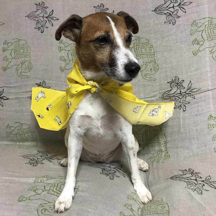 A394870a 405d 4194 b52f 842c4cde991d