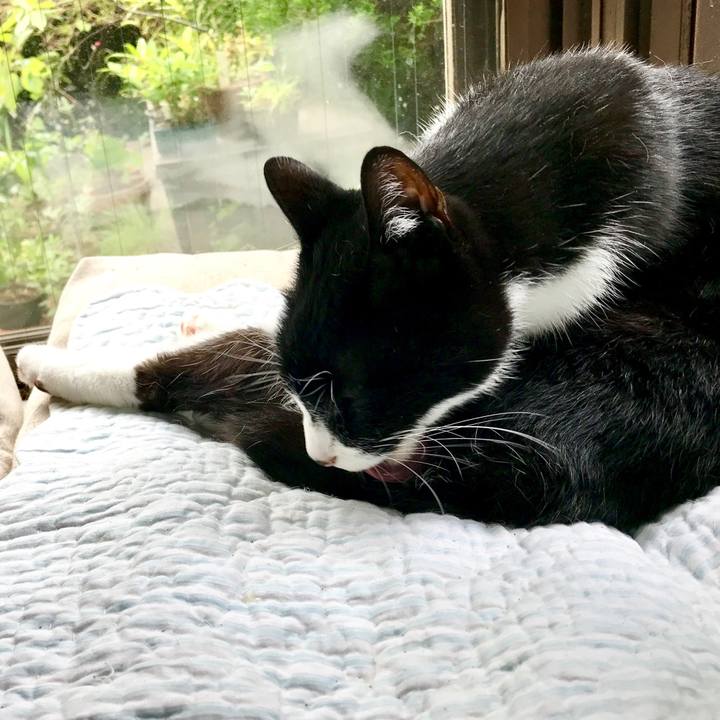 A394ca87 5bc1 4717 8492 5f1c476b6090