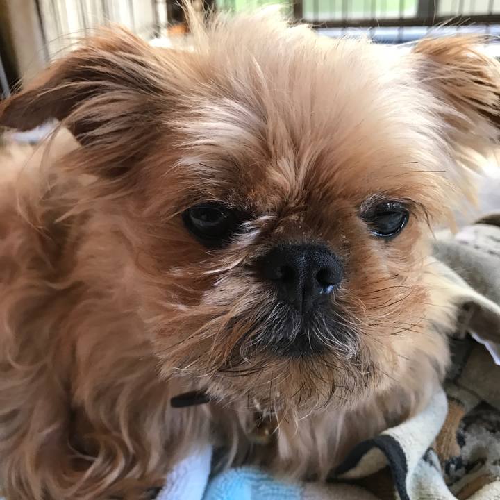 A394d028 c986 4049 b2e6 ac8c92ba3581