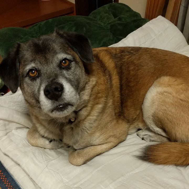 A395ff3a 65e0 4e64 b5b0 a01a0d97fc22