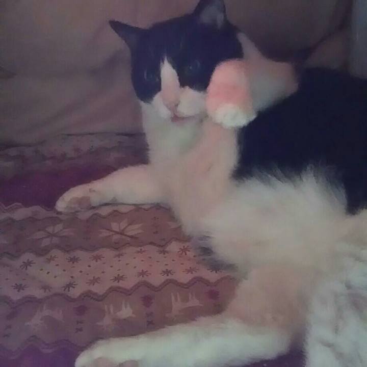 A3960826 80a4 4ecd 808c 23aa168a4172