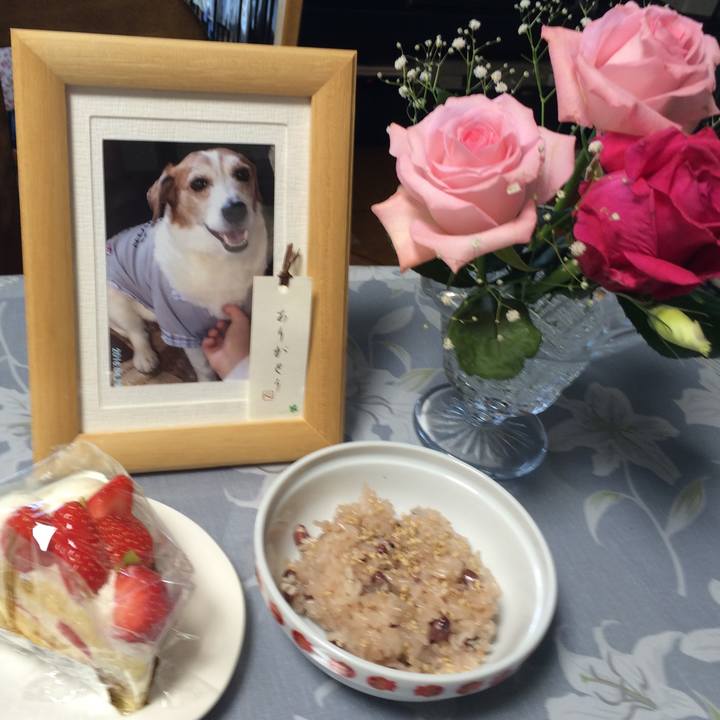 A39613a3 e641 4338 a5cc 050c814fa389