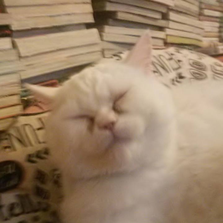 A3963265 c3d7 411d 9662 040099c63f64