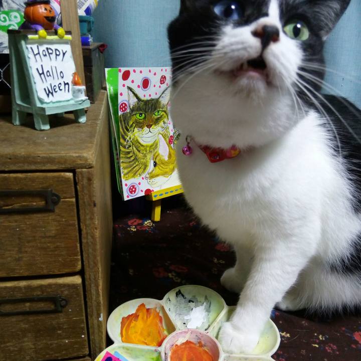 A3964af7 642a 4b78 8a00 660742eeb023