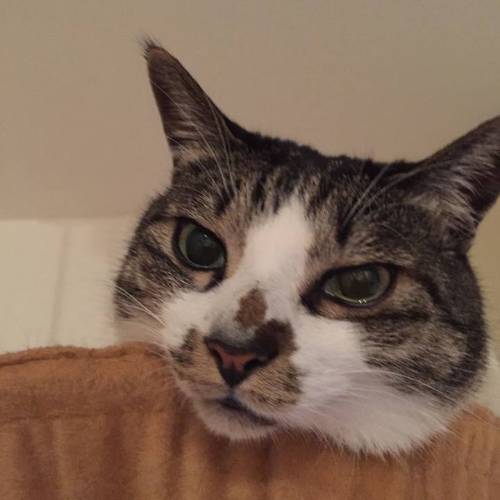 A396d40b 4939 410e adaa a6195b023d73