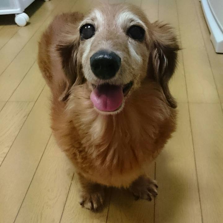 A397a9be 30f6 4f6a 91c1 690c22323be8