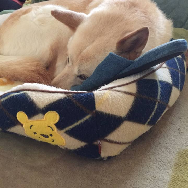 A397b8e8 c64c 4a11 b7e8 5b827a864a8d