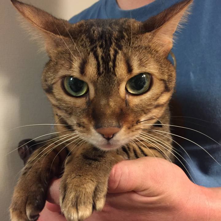 A397c9ca 89ea 4508 a1b2 dd7a53644cfc