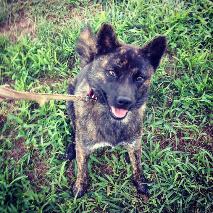 A397d716 5d11 43fe a183 d4ea9d3d27b3