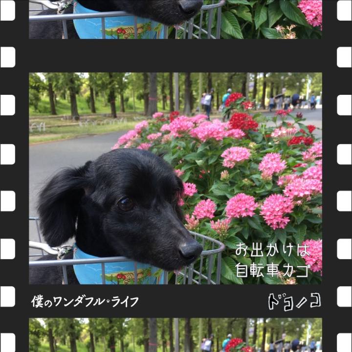 A3982437 f3f9 4aff b92e 83b3bf5f4e9a