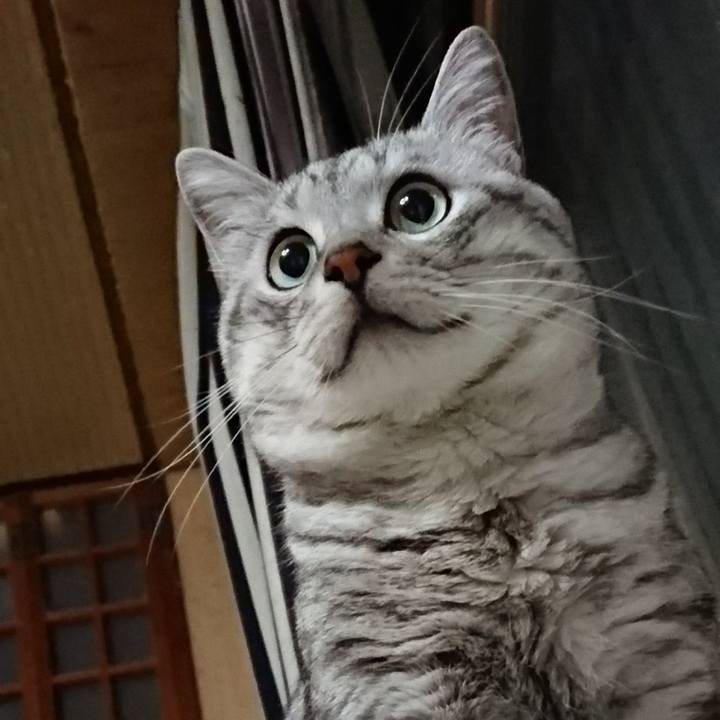 A39874e9 47fb 4af3 abdd 6a51ef9a95a4