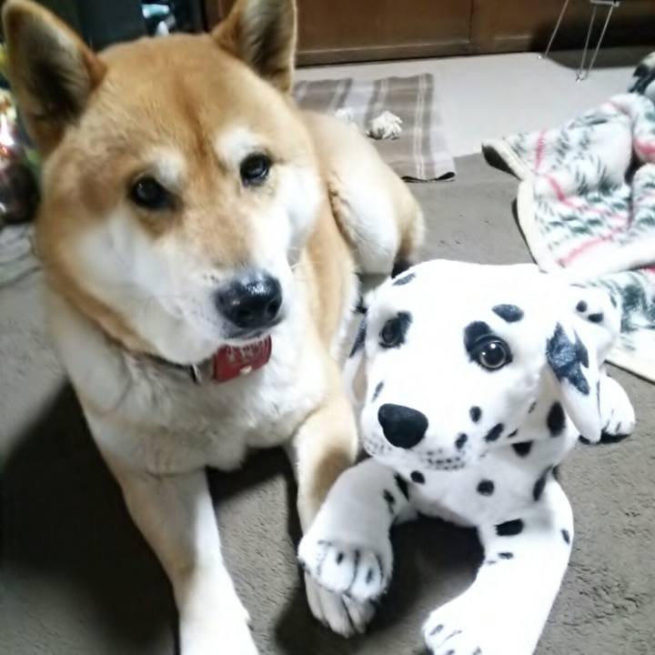 A398b101 a259 4c14 8c73 6cfca38fb323