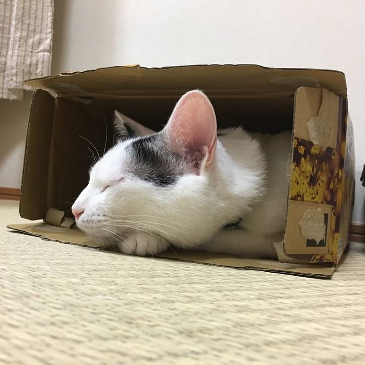 A3992ee2 4871 45bd 9fa4 b1dd9c31f8a5