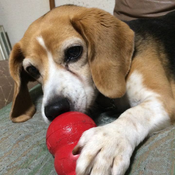 A399e42d b8d0 4ea7 ab21 583ac7372b04