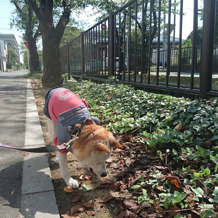 A39a5b3b 5d73 45b7 be7b 930f1cf52fc7