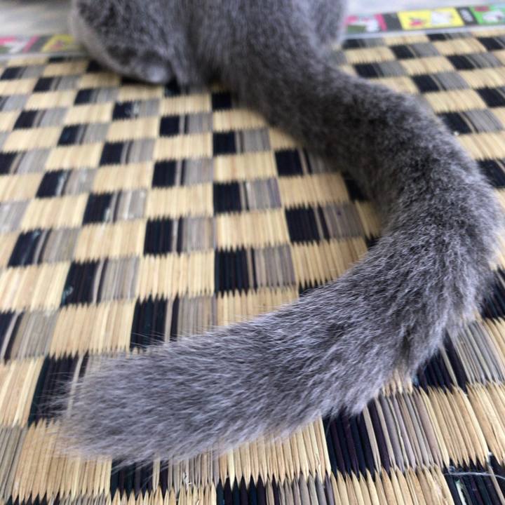 A39a72ae c5fe 4cae bf8d e62673c420a2