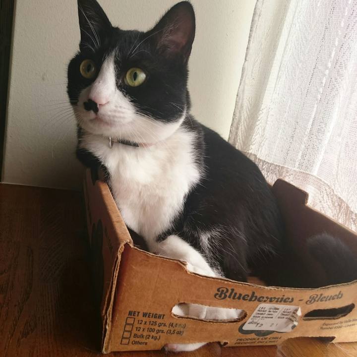 A39b3a0f 541e 4315 89c2 994d93d991c7