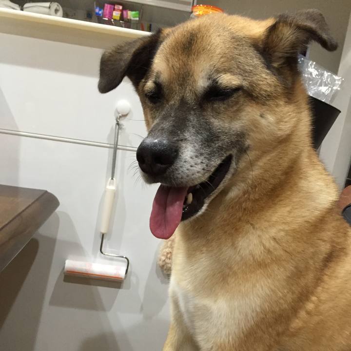 A39ba4d2 6fbe 4239 8470 2ccf9a86cc43