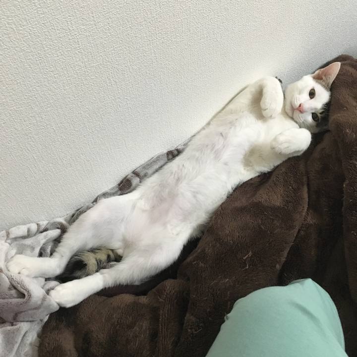 A39bfee3 3f97 4c30 933b 6f5c7585b03e