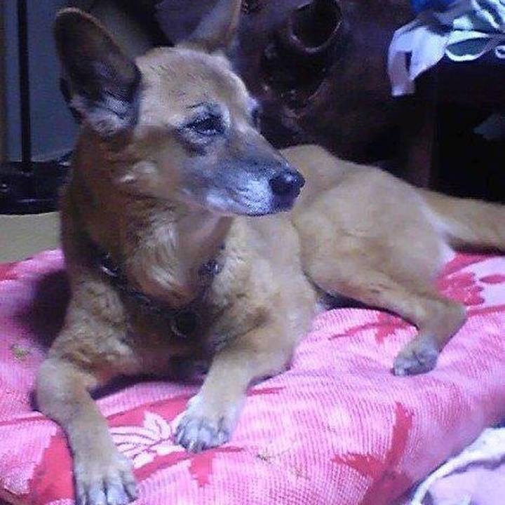 A39c0fa5 5e88 4857 845a dac381efc486