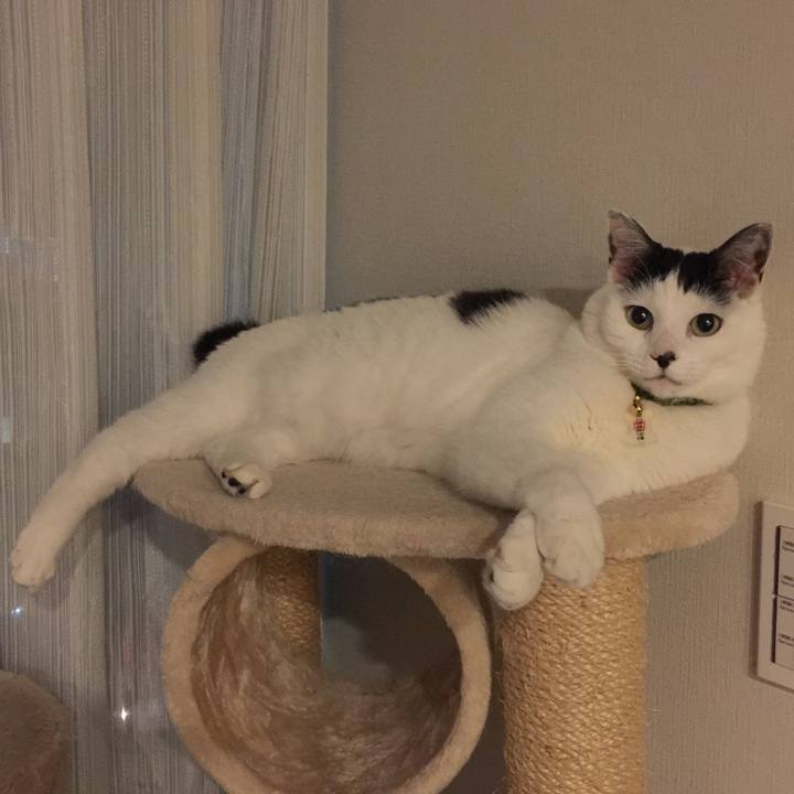 A39c3c01 3bf5 4a8f 9cec a50f8e79495b