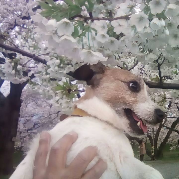 A39c757e 0e65 458c a753 10b4f15ae14d