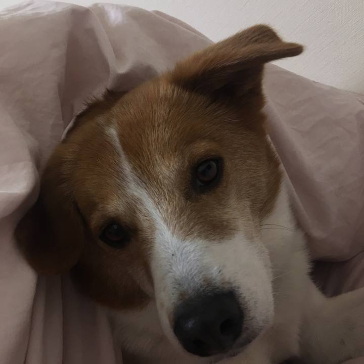 A39c7bfb dcf3 4018 b65a 3143c346c869