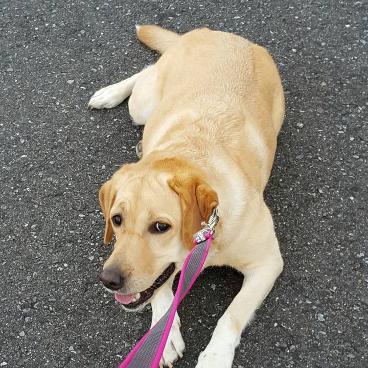 A39c8a9f 8efe 48c5 8ae4 3d5e4f276ab8