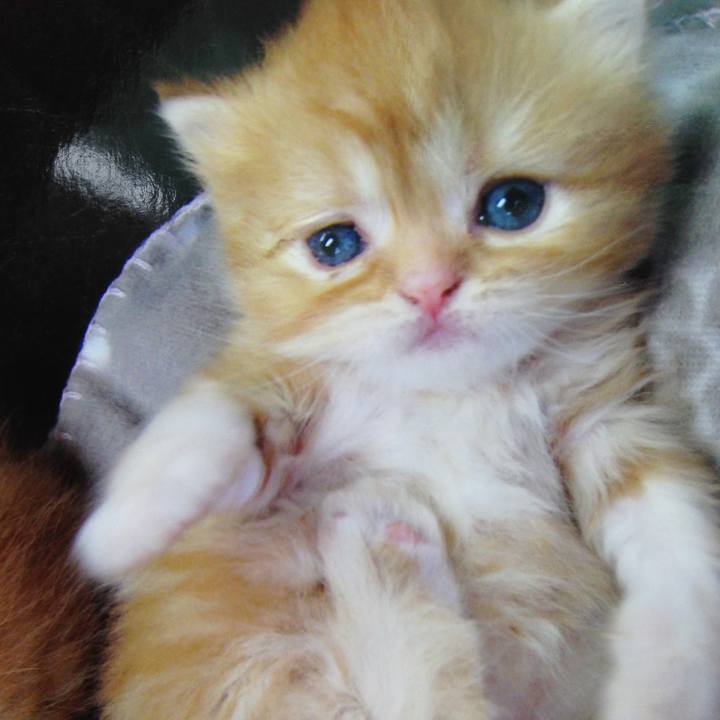 A39cf3b9 5887 4cde aa35 65fb6c9bd8fa