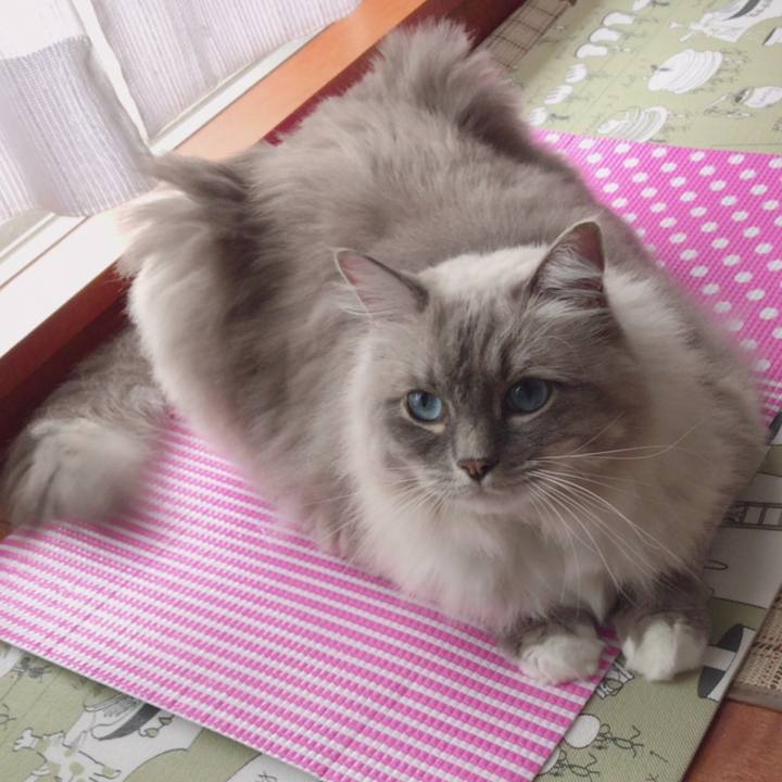 A39d67d5 5dfd 49b3 a4ef b544d0b8cc43