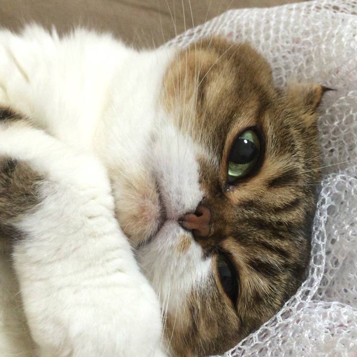 A39df15f f403 47be a53e 3ca02ae8fd85