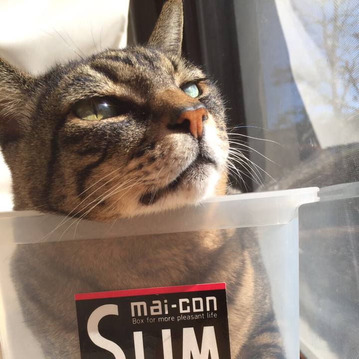 A39e2ca0 2641 4b8a ba89 291ff272337e