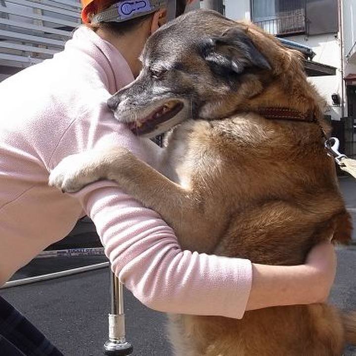 A39e3a13 babc 46ea a514 d51c98621eec