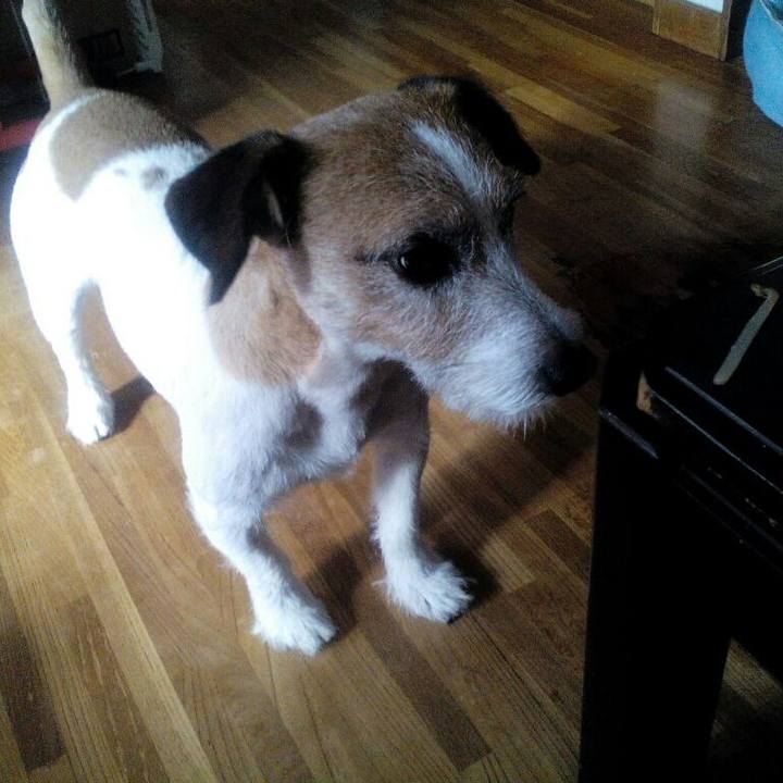 A39ecdfb 0f7b 4748 b043 897e7fd997e8