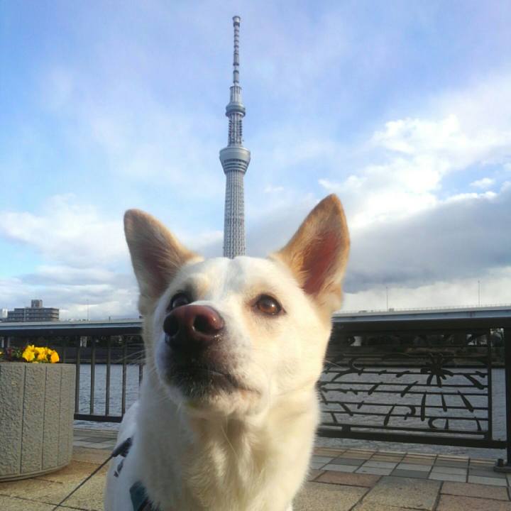 A39f0101 7279 4245 ae0d c6d1c051d82a