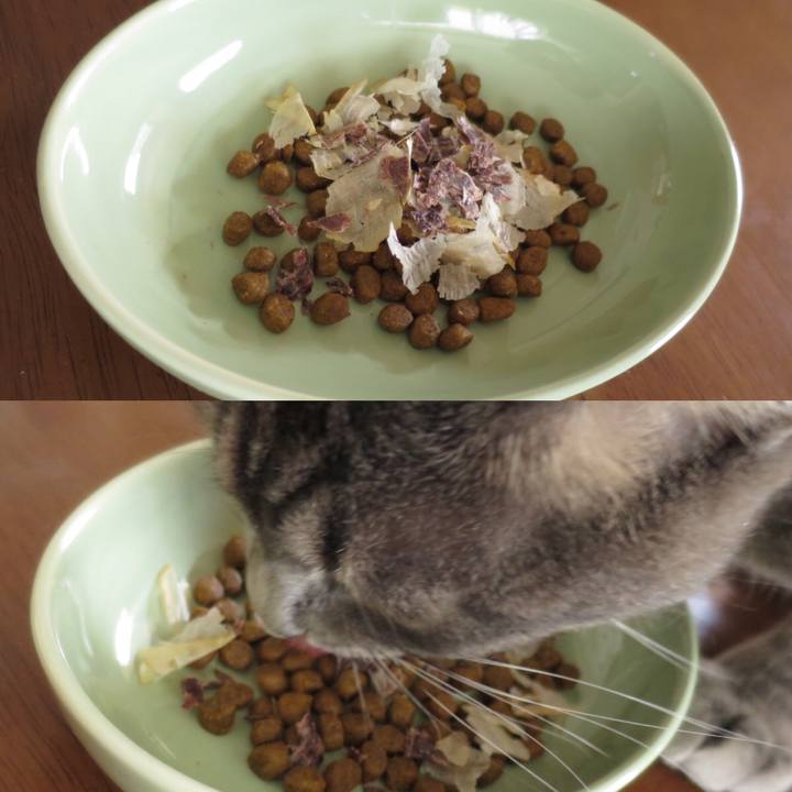 A39f54b3 f307 4a83 91fe 1d17e7c5bd3f