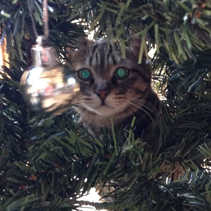 A39f666b 149e 46fb 978b 448edfc7eaac