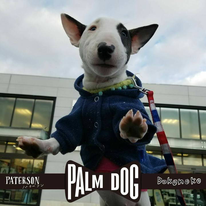 A3a08218 1bf9 49ac 931a f1dbb2b7bc29